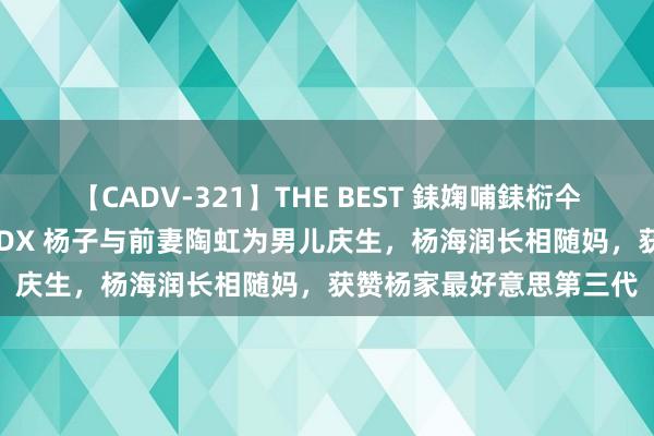 【CADV-321】THE BEST 銇婅哺銇椼仐銇俱仚銆?50浜?鏅傞枔DX 杨子与前妻陶虹为男儿庆生，杨海润长相随妈，获赞杨家最好意思第三代