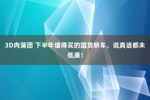 3D肉蒲团 下半年值得买的国货轿车，说真话都未低廉！