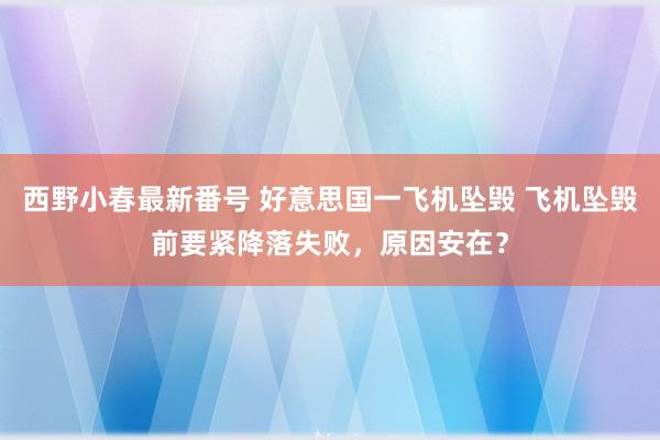 西野小春最新番号 好意思国一飞机坠毁 飞机坠毁前要紧降落失败，原因安在？