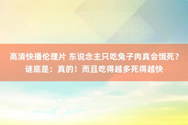 高清快播伦理片 东说念主只吃兔子肉真会饿死？谜底是：真的！而且吃得越多死得越快