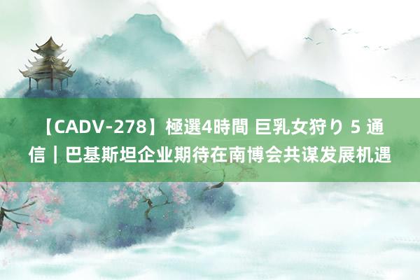 【CADV-278】極選4時間 巨乳女狩り 5 通信｜巴基斯坦企业期待在南博会共谋发展机遇