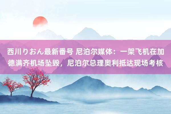 西川りおん最新番号 尼泊尔媒体：一架飞机在加德满齐机场坠毁，尼泊尔总理奥利抵达现场考核