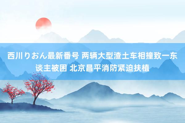 西川りおん最新番号 两辆大型渣土车相撞致一东谈主被困 北京昌平消防紧迫扶植