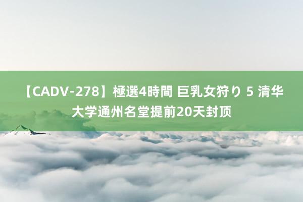 【CADV-278】極選4時間 巨乳女狩り 5 清华大学通州名堂提前20天封顶