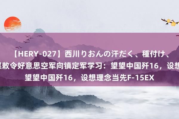 【HERY-027】西川りおんの汗だく、種付け、ガチSEX 好意思媒敕令好意思空军向镇定军学习：望望中国歼16，设想理念当先F-15EX