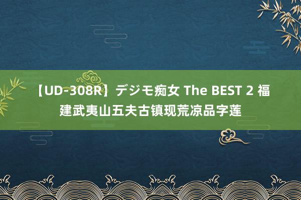 【UD-308R】デジモ痴女 The BEST 2 福建武夷山五夫古镇现荒凉品字莲