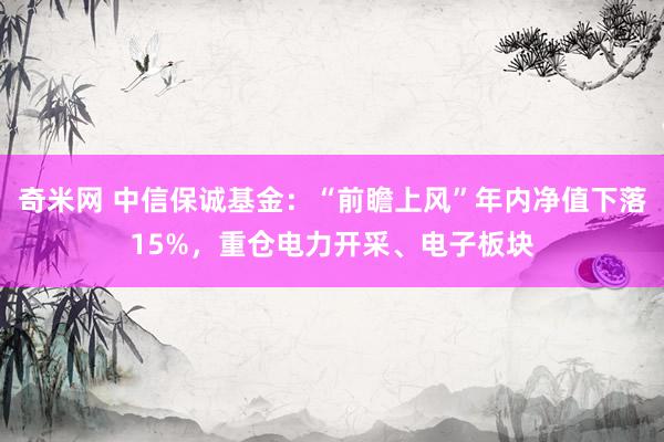 奇米网 中信保诚基金：“前瞻上风”年内净值下落15%，重仓电力开采、电子板块