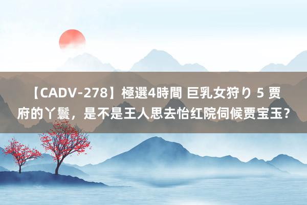 【CADV-278】極選4時間 巨乳女狩り 5 贾府的丫鬟，是不是王人思去怡红院伺候贾宝玉？