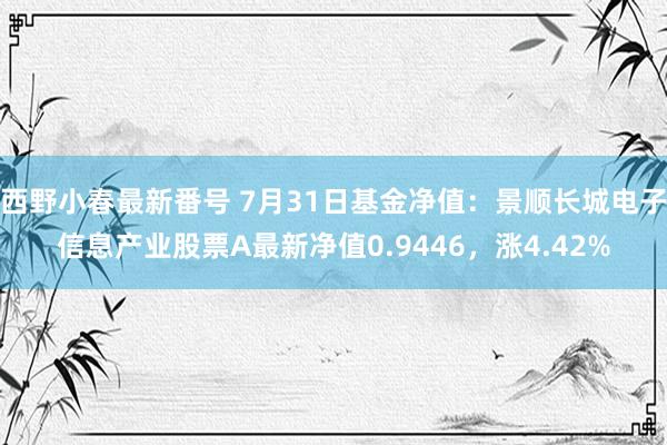 西野小春最新番号 7月31日基金净值：景顺长城电子信息产业股票A最新净值0.9446，涨4.42%