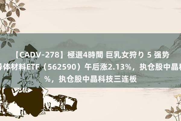 【CADV-278】極選4時間 巨乳女狩り 5 强势拉升！半导体材料ETF（562590）午后涨2.13%，执仓股中晶科技三连板