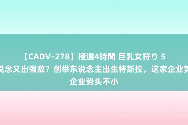 【CADV-278】極選4時間 巨乳女狩り 5 智驾赛说念又出强敌？创举东说念主出生特斯拉，这家企业势头不小