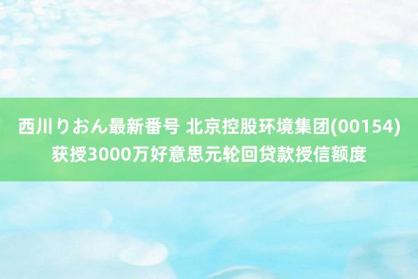 西川りおん最新番号 北京控股环境集团(00154)获授3000万好意思元轮回贷款授信额度