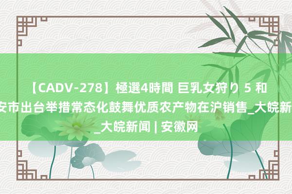 【CADV-278】極選4時間 巨乳女狩り 5 和谐品牌 六安市出台举措常态化鼓舞优质农产物在沪销售_大皖新闻 | 安徽网