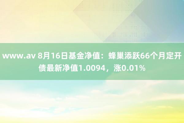 www.av 8月16日基金净值：蜂巢添跃66个月定开债最新净值1.0094，涨0.01%