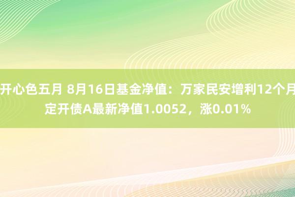 开心色五月 8月16日基金净值：万家民安增利12个月定开债A最新净值1.0052，涨0.01%