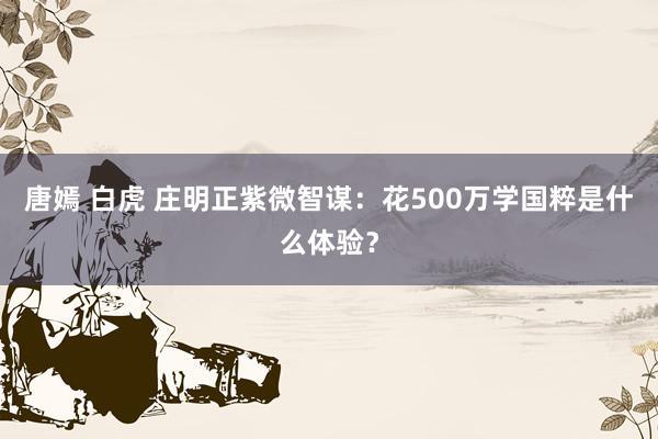 唐嫣 白虎 庄明正紫微智谋：花500万学国粹是什么体验？