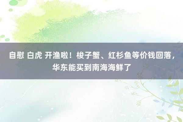 自慰 白虎 开渔啦！梭子蟹、红杉鱼等价钱回落，华东能买到南海海鲜了