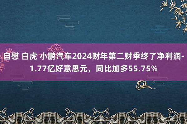 自慰 白虎 小鹏汽车2024财年第二财季终了净利润-1.77亿好意思元，同比加多55.75%