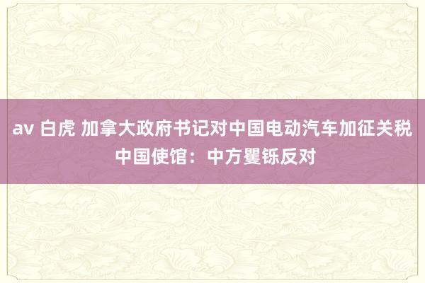 av 白虎 加拿大政府书记对中国电动汽车加征关税 中国使馆：中方矍铄反对