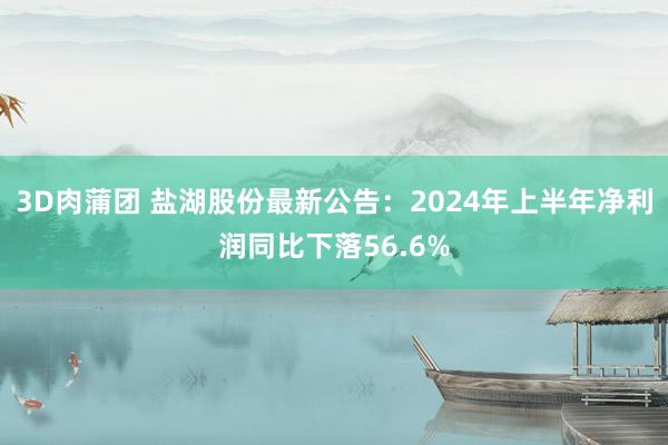 3D肉蒲团 盐湖股份最新公告：2024年上半年净利润同比下落56.6%