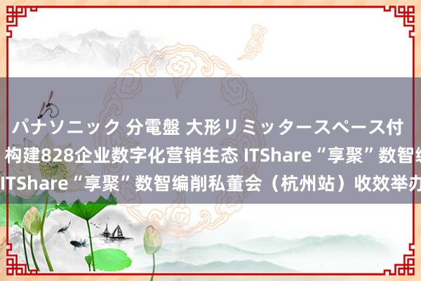 パナソニック 分電盤 大形リミッタースペース付 露出・半埋込両用形 构建828企业数字化营销生态 ITShare“享聚”数智编削私董会（杭州站）收效举办