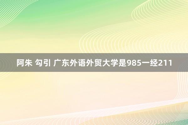 阿朱 勾引 广东外语外贸大学是985一经211