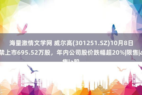 海量激情文学网 威尔高(301251.SZ)10月8日解禁上市695.52万股，年内公司股价跌幅超20%|限售|a股